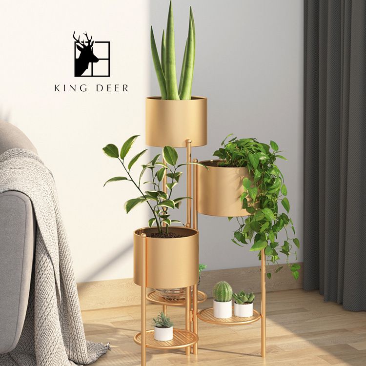 GDC-00210 Bộ chậu cây Darius trang trí phòng khách, ban công, KC-002