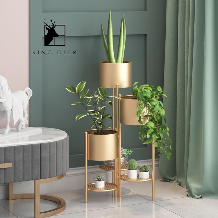 GDC-0022 Bộ chậu cây Darius trang trí phòng khách, ban công, KC-002