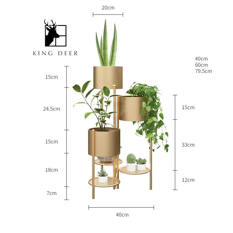 Bộ chậu cây Darius trang trí phòng khách, ban công, KC-002