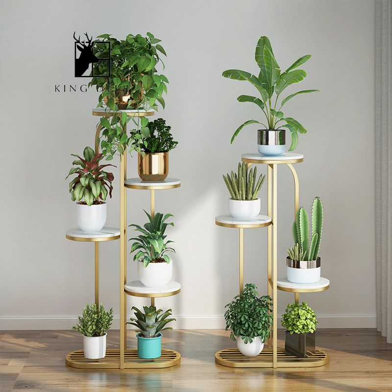 GDC-0066 Bộ giá đỡ cây Maximilian trang trí phòng khách, KC-6