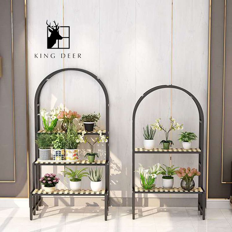 Bộ giá đỡ cây